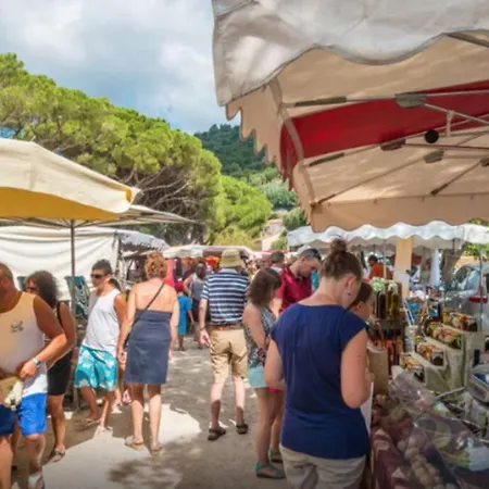 Magnifique A 50m De La De Cavaliere - Tamarindo Appartamento *